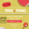 stage tennis de table paques 2026